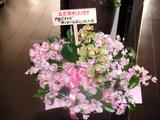 sunjapo-bouquet.jpg