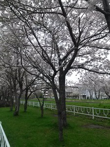c7e26d77.jpg