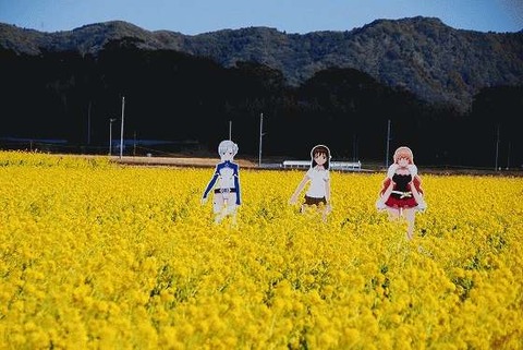 mImage