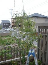 b708061d.jpg