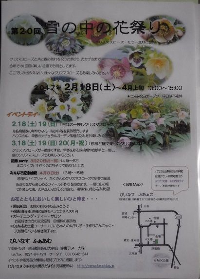 DSCF5034 a