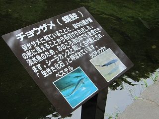 10-13
