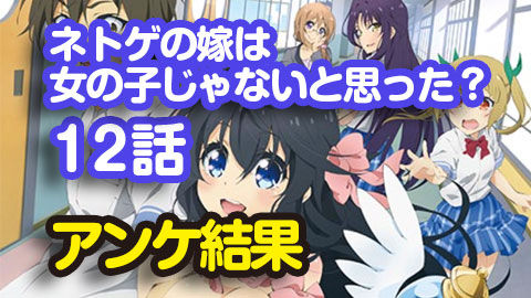 ネトゲの嫁は女の子じゃないと思った12
