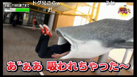 ドグマNG6