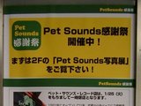 PET SOUNDS