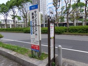 直通バスのりば