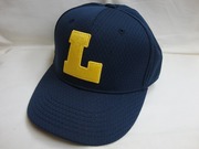L1