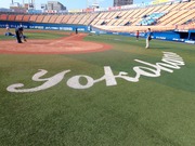 yokohamaロゴ