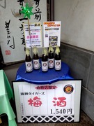 倉敷店限定梅酒