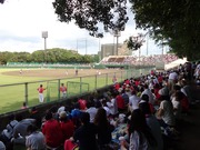三塁側内野芝生席より