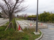 チンチン電車のりば