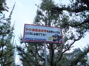 �Ǹ���