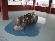 かば