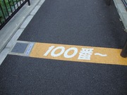 100�֡�