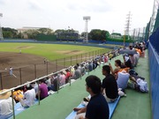 内野スタンド
