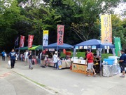 出店群
