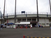 市民野球場1