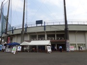 船橋市民野球場