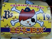 金子ネコBOX1