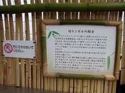 竹トンネルの紹介