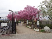 梅小路公園