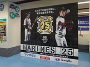 MARINES 25