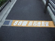 88�ָ�ä������