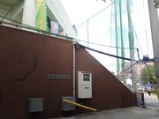 秋津野球場1