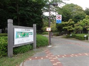 秋津公園