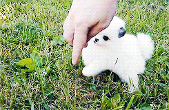 tumblr_mr4qo7bIkU1rjcfxro2_250