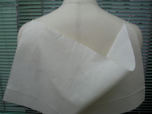 RIMG0799