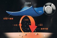 CCF20120110_00000 - ¥³¥Ô¡¼