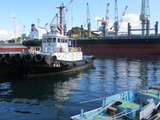 089ab576.jpg