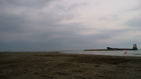 yDSC_0242