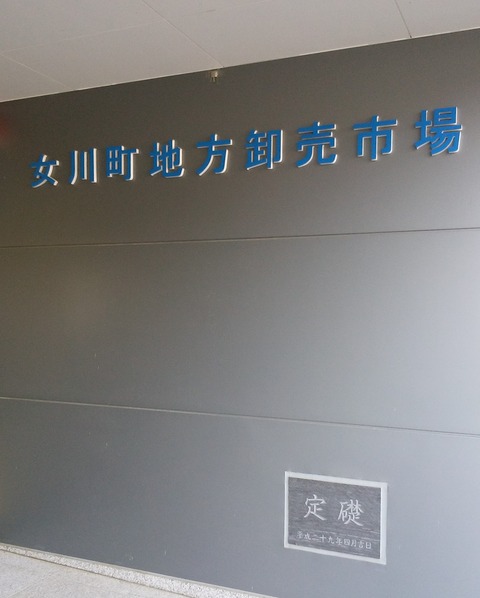 yDSC_3772
