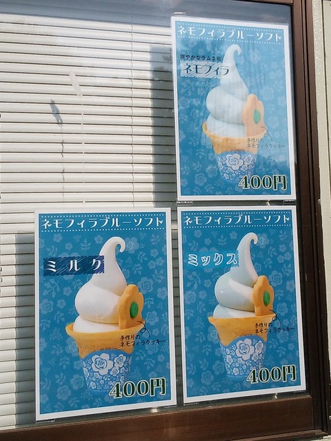yDSC_4073