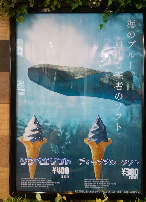 yIMG_20180704_142943