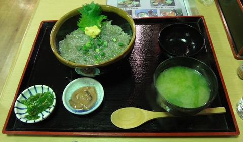 zDSC08994
