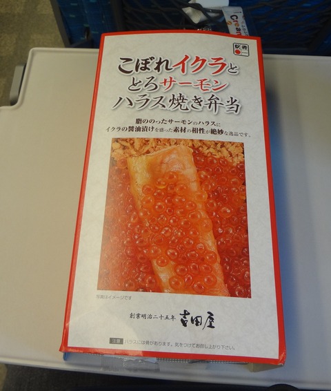 yDSC01735