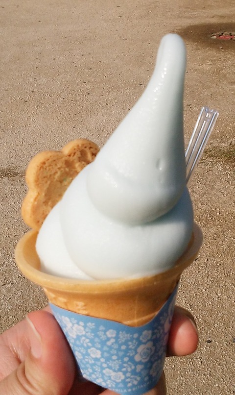 yDSC_4076