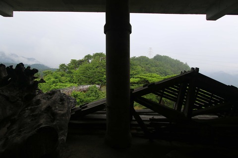 IMG_7305
