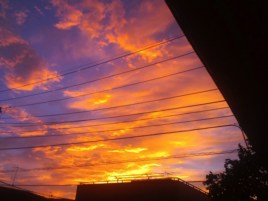 648c73c3.jpg