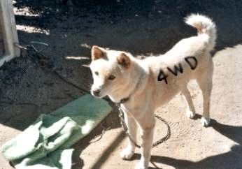 vlomoshiro010976