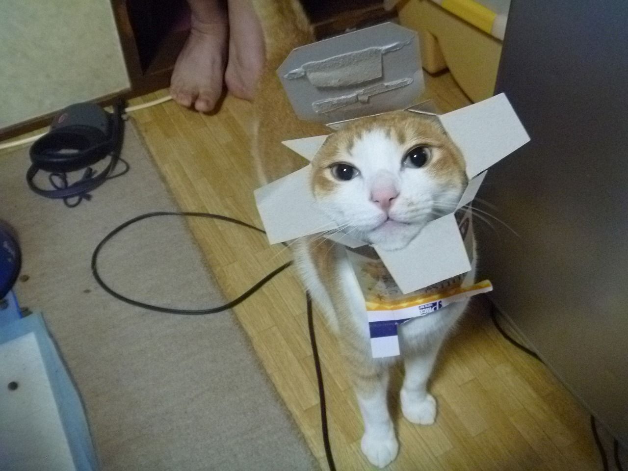 ȋȑq207r©bbspink.com	YouTube>1{ ->摜>971 