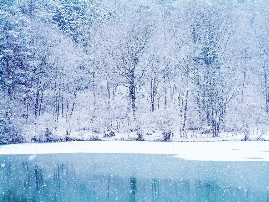 e119d03e.jpg