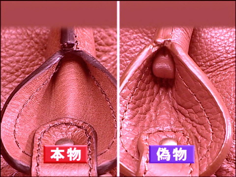 513cd843.jpg