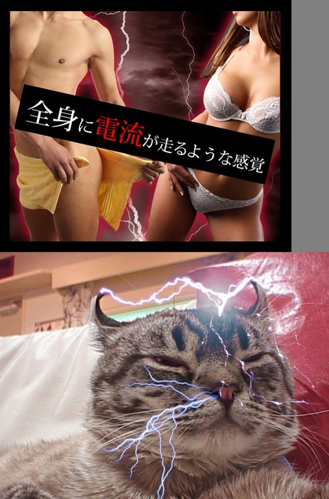 8cf5d8b2.jpg