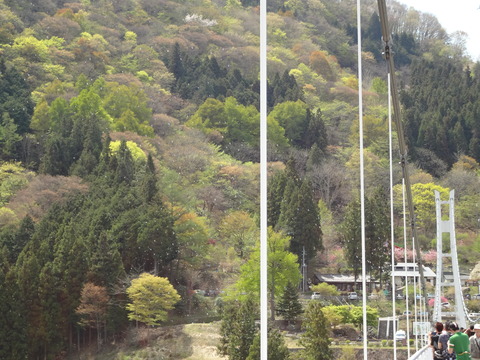 DSC00201