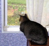 momo_10