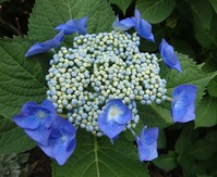 20130627
